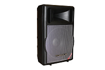 Активная колонка Torque TP3015A - 1