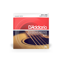 струны для акустической гитары D'Addario EJ17 - 0