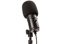 USB микрофон Zoom ZUM-2 - 1