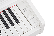 Цифровое пианино Becker BDP-92W - 1