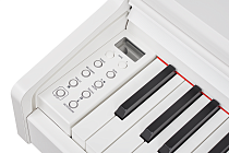 Цифровое пианино Becker BDP-92W - 2