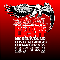 Струны для 12-струнной электрогитары Ernie Ball P02233